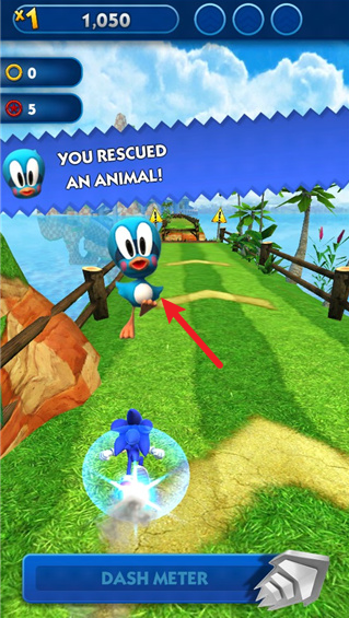 索尼克冲刺最新版 索尼克冲刺最新版