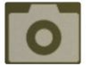 从细胞到奇点官方正版