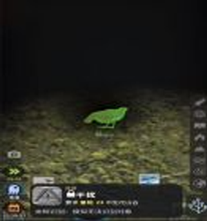 从细胞到奇点官方正版