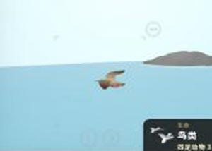 从细胞到奇点官方正版