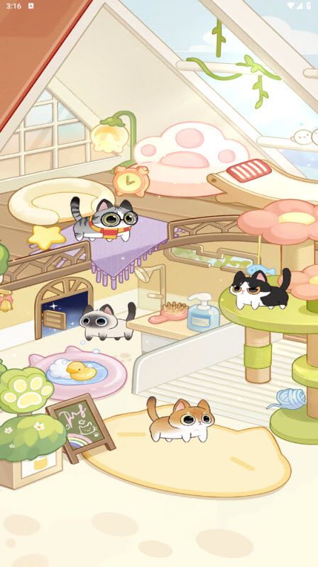 冲个毛线 冲个毛线