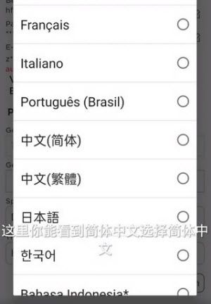 罗布乐思国际服