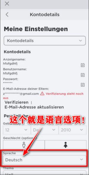 罗布乐思国际服