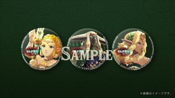 塞尔达无双封印战记有哪些版本