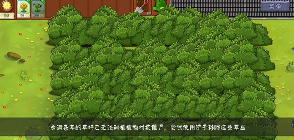 植物大战僵尸转基因版最新版