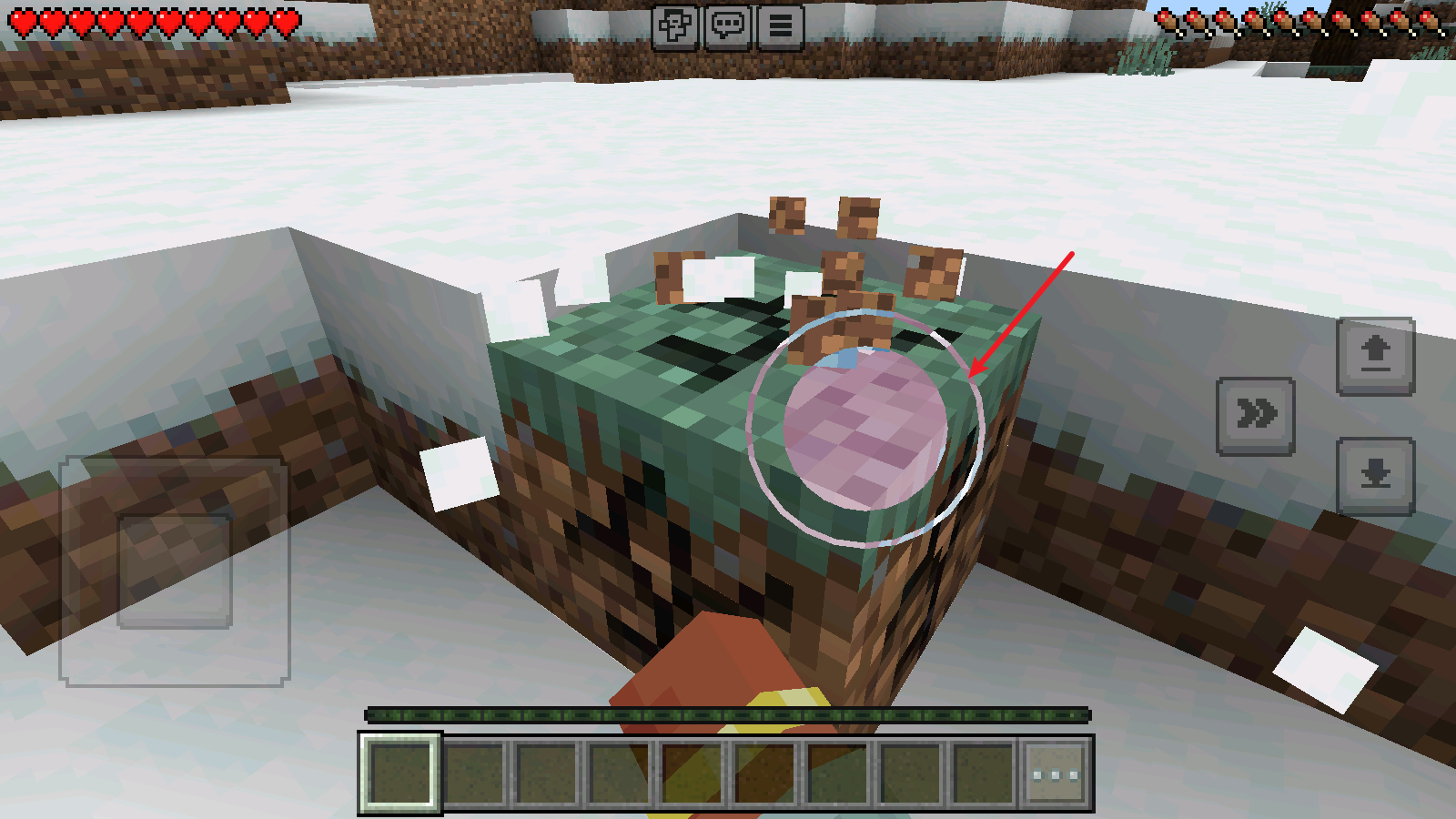 我的世界国际版 我的世界国际版