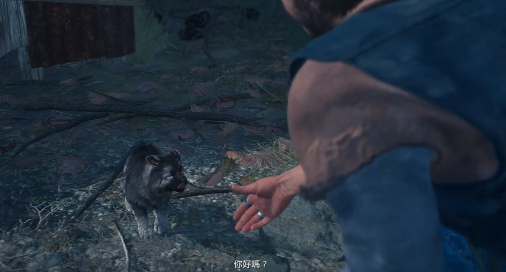 往日不再狗带回家后在哪