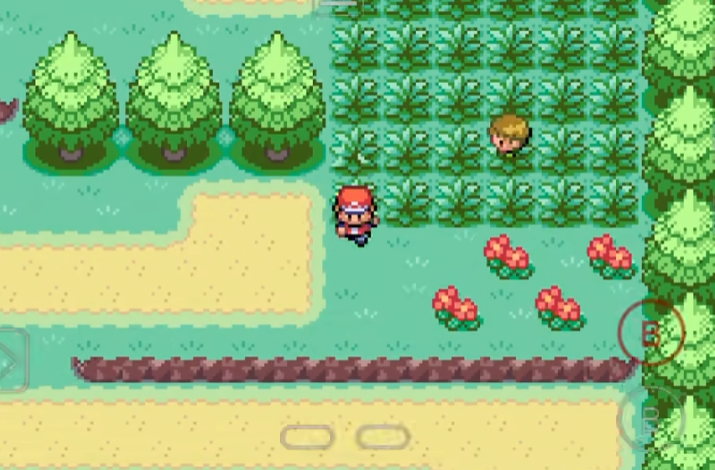 口袋妖怪火红在哪练级最快