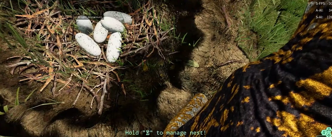 恐龙岛下蛋有什么用 恐龙岛下蛋有什么用