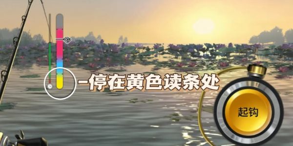 欢乐钓鱼大师全攻略-图文详解技巧大全