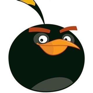 愤怒的小鸟朋友版 愤怒的小鸟朋友版