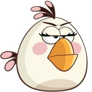 愤怒的小鸟朋友版 愤怒的小鸟朋友版