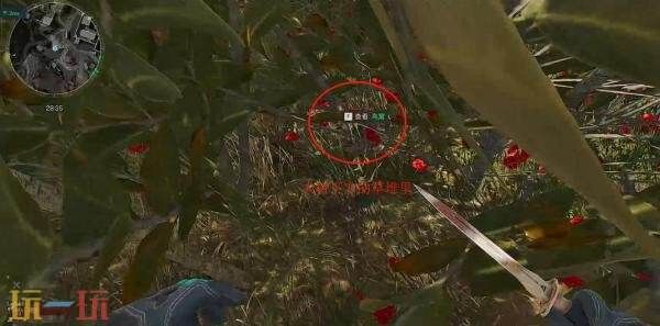 三角洲行动零号大坝鸟窝在哪 高清实拍鸟窝位置图解