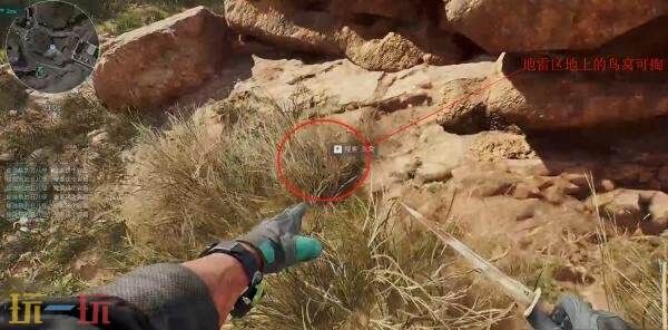 三角洲行动零号大坝鸟窝在哪 高清实拍鸟窝位置图解