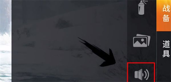 和平精英爱罗语音包设置技巧全解析