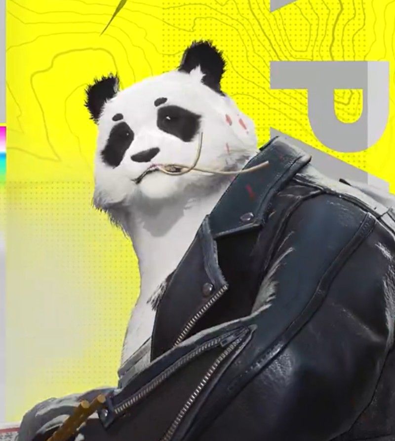 明日方舟终末地熊猫大潘怎么样?大潘角色特点全解析 明日方舟终末地熊猫大潘怎么样?大潘角色特点全解析