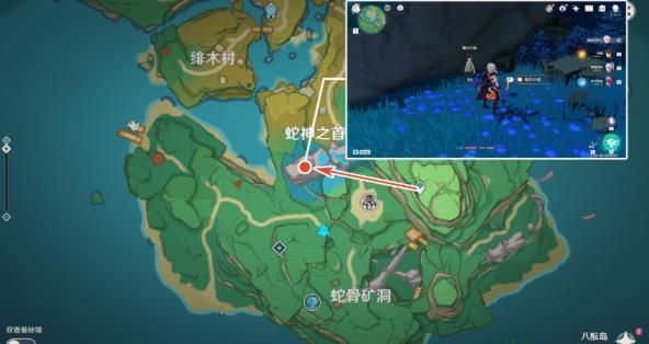 原神鲸井小弟位置全收集