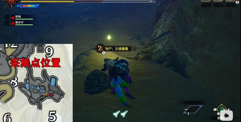 怪物猎人崛起：巨岩蔷薇具体位置详解