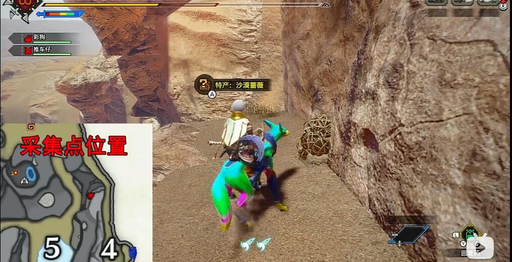 怪物猎人崛起：巨岩蔷薇具体位置详解