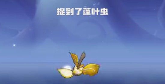 洛克王国世界蓬叶虫捕捉攻略
蓬叶虫获取技巧详解 洛克王国世界蓬叶虫捕捉攻略
蓬叶虫获取技巧详解