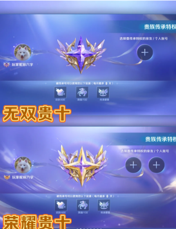 王者荣耀V10荣耀贵族价格及条件-V10荣耀贵族与无双贵族标志区别