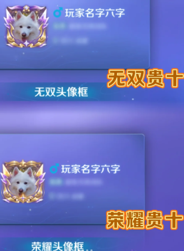 王者荣耀V10荣耀贵族价格及条件-V10荣耀贵族与无双贵族标志区别