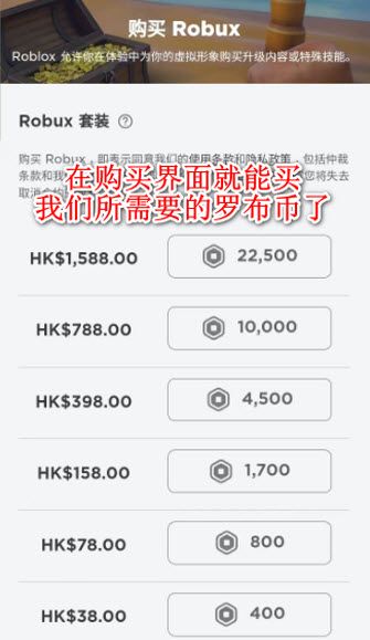 Roblox官方线上入口-罗布乐思中文版在线畅玩入口