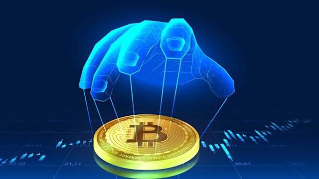 神奇海洋1月4日答案揭晓-2026今日答案速查