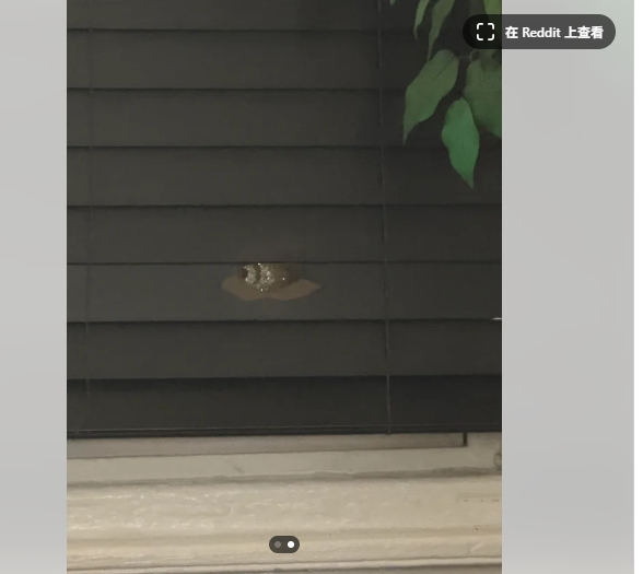 玩家秀PC主机神防护-挡下射向玩电脑孩子的致命子弹