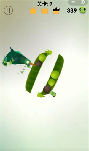 疯狂鸽子游戏第9关必胜秘籍-通关攻略全解析