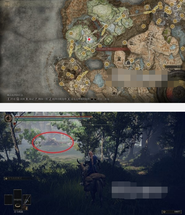 艾尔登法环DLC-夺红破露滴速刷攻略 艾尔登法环DLC-夺红破露滴速刷攻略