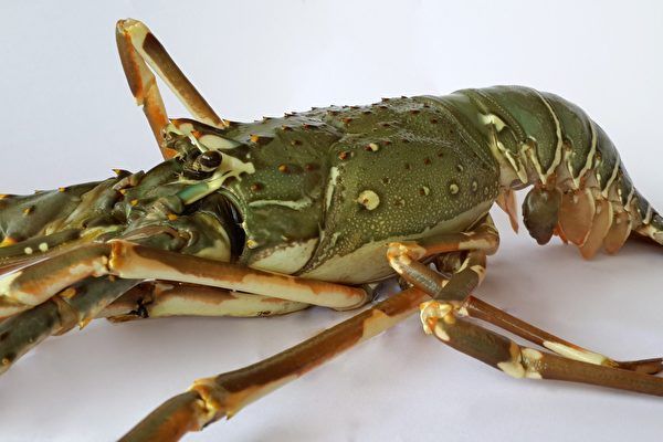 神奇海洋今日3月3日答案更新