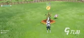 伊莫家园玩法是什么