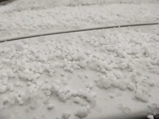 蚂蚁庄园今日3月6日答案更新