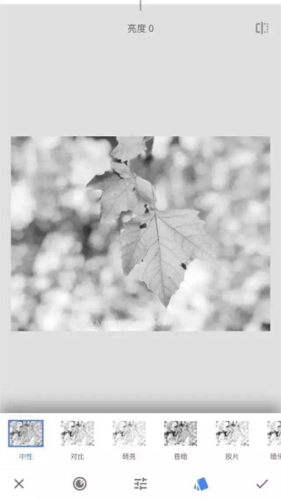 《绿叶修图》蒙版工具教程