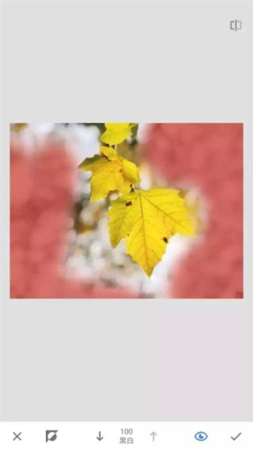 《绿叶修图》蒙版工具教程