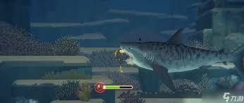 潜水员戴夫中虎鲨怎么打