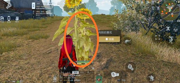 黎明觉醒切割土地藏宝图在哪