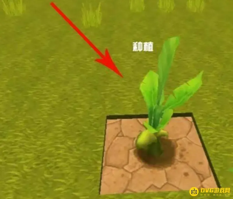 《迷你世界》耕地方法详解-铲子制作与种植步骤