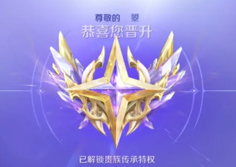 王者荣耀v10荣耀贵族价格及条件-王者荣耀v10荣耀贵族与无双贵族标志对比