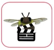 心动小镇梦光影庆典虫捕捉位置一览