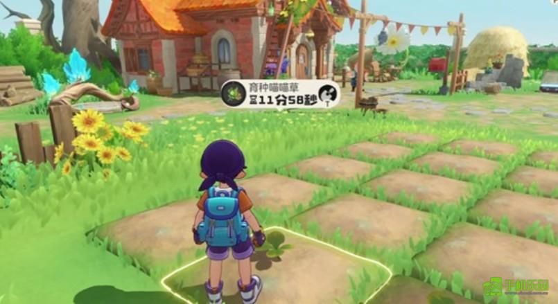 洛克王国世界家园田地开放方式