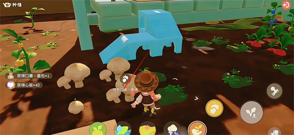 粒粒的小人国种植玩法攻略