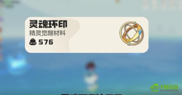 洛克王国世界灵魂环印道具说明