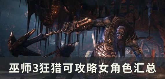 巫师3技能石介绍攻略（巫师3技能石的种类及应用详解）