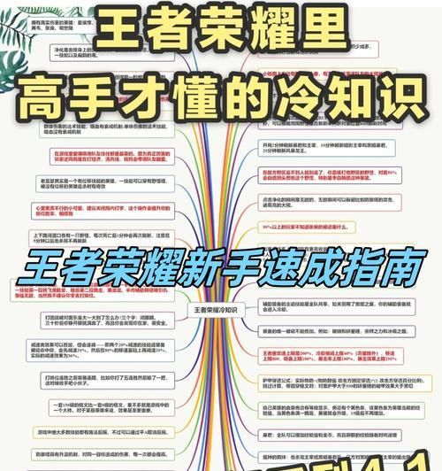 王者荣耀英雄技能攻略（掌握技能，成就传奇王者）