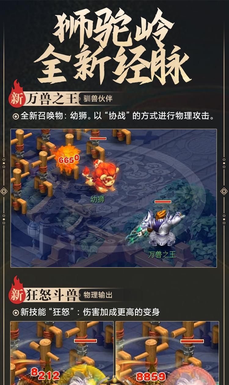 《梦幻西游幼狮技能加点攻略》（打造强力幼狮，技能加点关键解析）