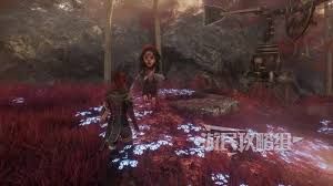 光与影33号远征队全默偶位置在哪