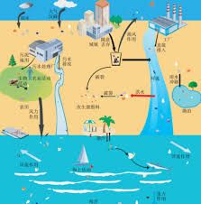 海洋中的微塑料指的是直径小于多少的塑料颗粒
