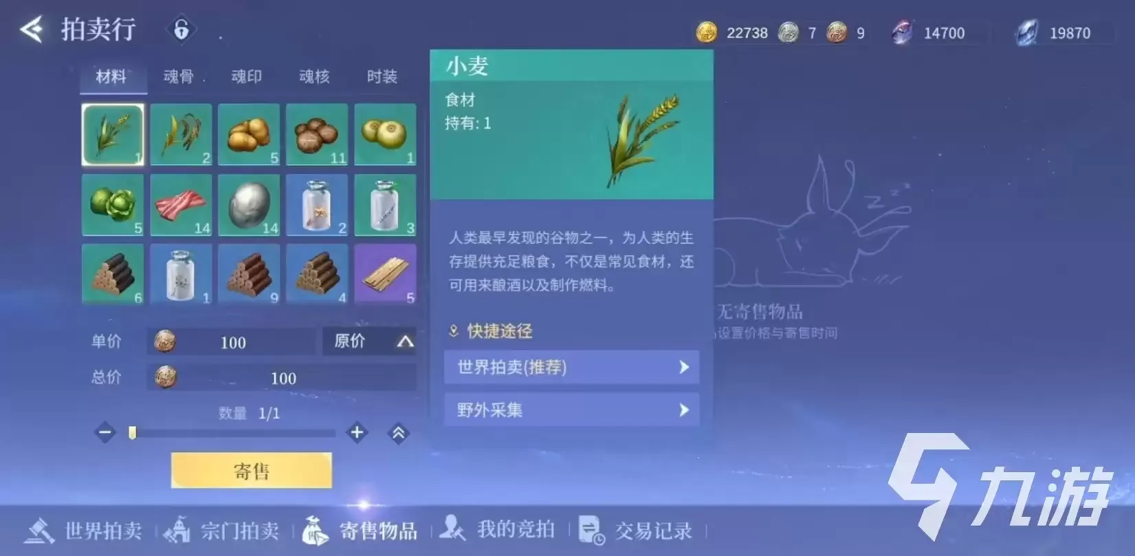 斗罗大陆诛邪传说拍卖行玩法详解：斗罗大陆诛邪传说拍卖行操作指南